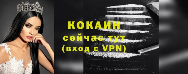 спиды Дмитриев