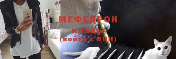 спиды Дмитриев