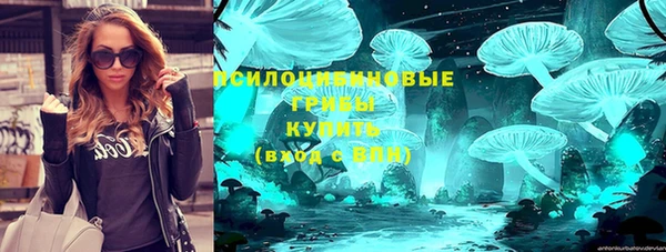 спиды Дмитриев
