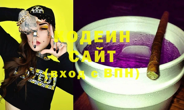 спиды Дмитриев