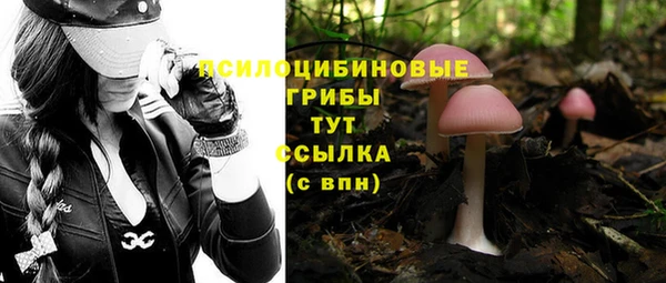 спиды Дмитриев