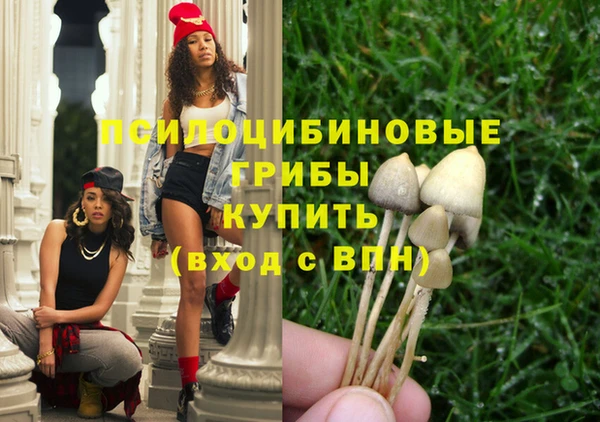 трава Дмитровск