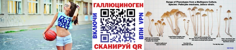 Купить закладки Зеленокумск Псилоцибиновые грибы Cubensis